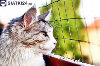 Siatki Tarnów - Siatka na balkony dla kota i zabezpieczenie dzieci dla terenów Tarnowa